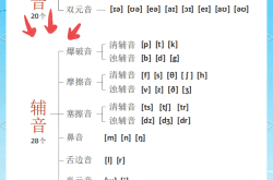 初二英语发音纠正视频（音标）

