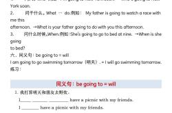 六年级英语衔接初中语法专项
