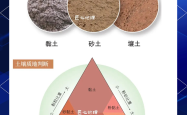 
六年级土壤的组成实验（步骤）
