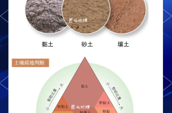 
六年级土壤的组成实验（步骤）
