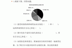 六年级统计与概率专项（数据）(六年级统计与概率教学研讨ppt)