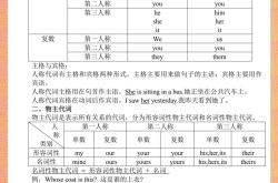 小升初英语易错点专项（语法）
