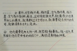 六年级分班考笔记模板（语文）
