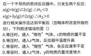 
高一化学衔接难点（物质的量/化学平衡）