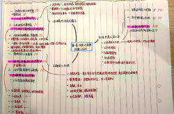 
25新八上道法真恶心，反复就考这110个
