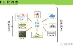 高二地理农业区位选择技巧(高中地理必修二农业区位因素及其变化教案)