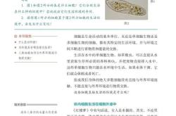 
高三生物重难点专项（遗传规律/稳态调节）
