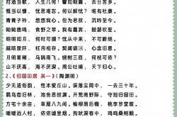 
高一语文必修上册知识点清单（部编版）
