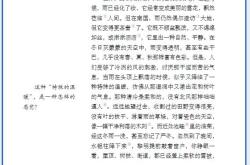 2025学年七年级上册语文必背重点知识
