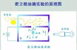 
高三物理实验模拟APP（3D+步骤）