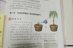 
新版人教七上生物→→课堂笔记1.1.1
