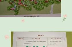 三年级综合实践活动方案（校园植物大探秘）
