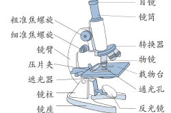 六年级科学显微镜使用步骤图解(六年级科学显微镜使用步骤图解视频)