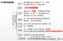 高考生物基因工程知识点(高考生物基因工程大题及答案)