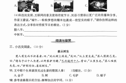 
小升初语文模拟卷（2025新版）
