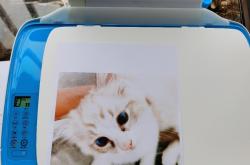 
打印机推荐（小学生试卷打印）
