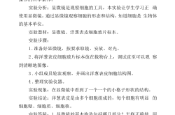 六年级衔接实验报告模板（科学）
