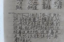 
小升初《草房子》阅读题汇编（含答案）
