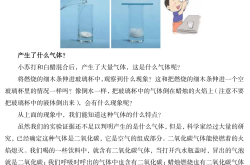 
科学实验课教案（带实验视频链接）
