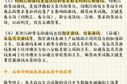 中考道德与法治时政题答题技巧（联系考点）
