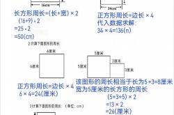 小升初几何专项（周长/面积）
