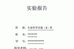 初中生物实验报告模板（通用版）
