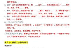 六年级阅读答题纸（模板）
