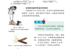 
（六）生物（40条）