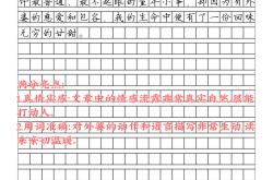 
小升初语文时间管理专项（答题）
