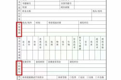 新高一综合素质提升指南(新高一综合素质综合评价平台)