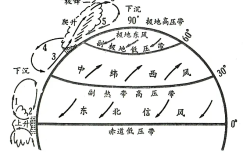 高一下大气环流专项练习（气压带风带）
