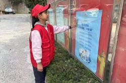 小学生社区志愿服务方案(社区志愿服务活动实践报告)