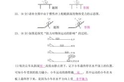 初二物理科学探究题专项(初二物理科学之旅ppt免费下载完整)