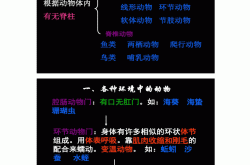 
新版八上生物真恶心反复就这118个问题
