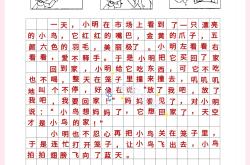 
部编版二年级语文看图写话范文30篇