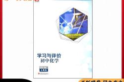 
九年级化学同步练习册答案（沪教版）