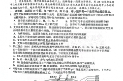 
高二下生物期末模拟卷（人教版）
