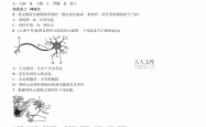 
小学神经系统组成练习题（简单版）
